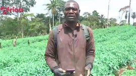 Imagem de Produtos de Base e Start-ups