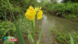 Imagem de Microrreservas de Lousada