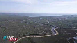 Imagem de Conserva��o dos Sapais em Portugal e a Sua Import�ncia Ecol�gica