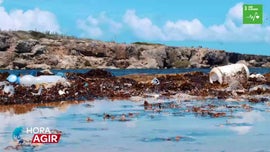 Imagem de ODS 3 das Na��es Unidas - Garantir Sa�de e Bem-estar Para Todos at� 2030 (II)