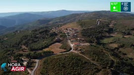 Imagem de Barroso: O Valor da Floresta Multifuncional