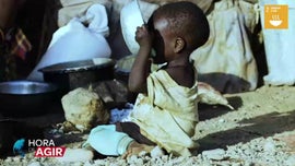 Imagem de ODS 2 - Erradicar a Fome