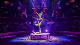 Imagem de Circo D�lire