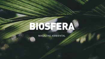 Biosfera