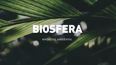 Imagem de Biosfera