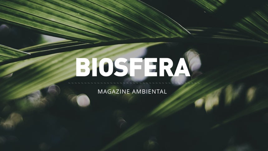 Biosfera Episódio 21 - de 06 jun 2026 - RTP Play