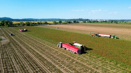Imagem de Faa Chuva Faa Sol