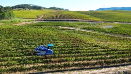 Imagem de Fa�a Chuva Fa�a Sol