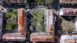 Imagem de Kissangua Agridoce (Isabel Ferreira, Incio Quindongo, Patrcia Nzagi)