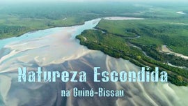 Imagem de Natureza Escondida na Guin�-Bissau