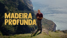 Imagem de Madeira Profunda