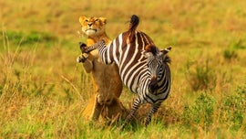 Imagem de A Esta��o da Abund�ncia