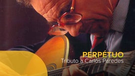 Imagem de Perp�tuo - Tributo a Carlos Paredes