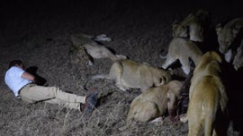 Imagem de 3000 Noites com Le�es