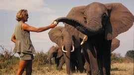 Imagem de Uma Vida Entre os Elefantes