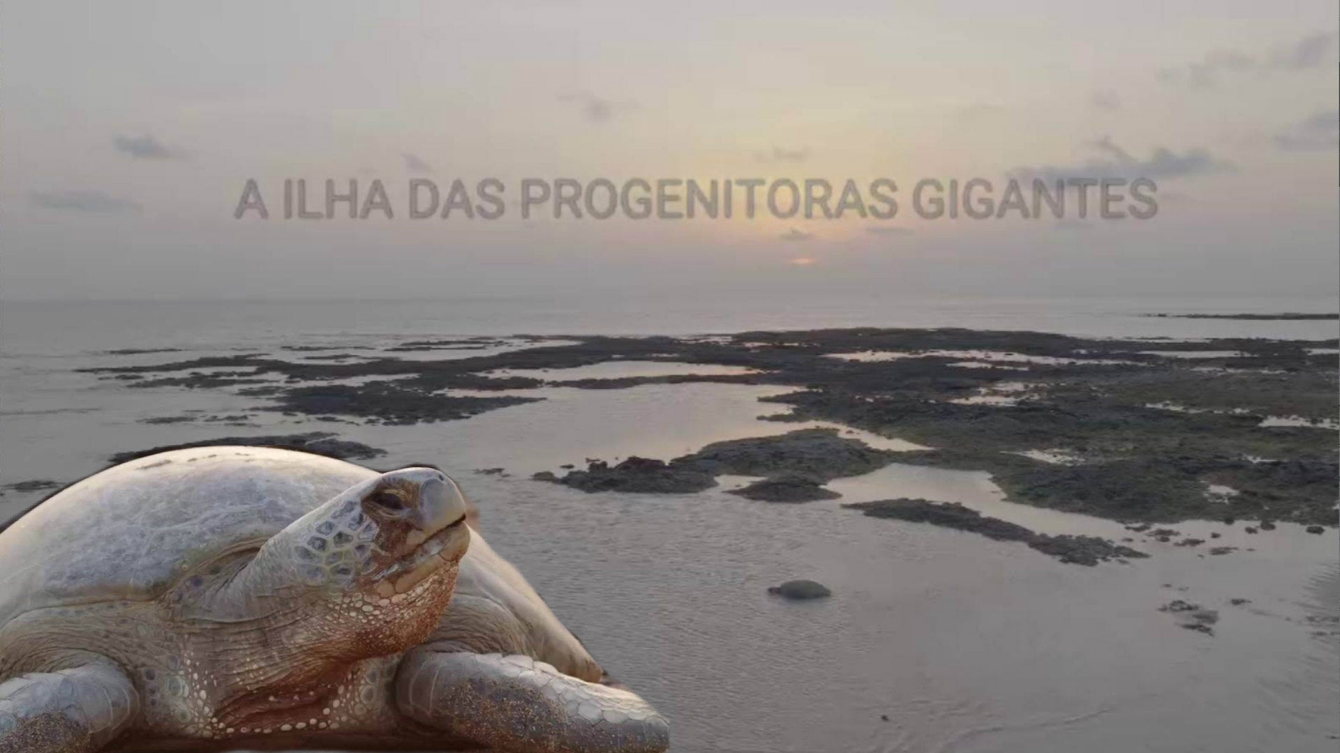 Imagem de A Ilha das Progenitoras Gigantes