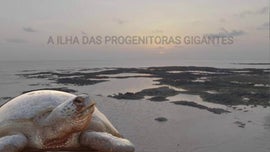 Imagem de A  Ilha das Progenitoras Gigantes