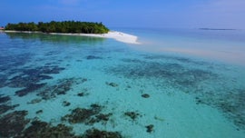 Imagem de Maldivas: O Reino Aqu�tico do Oceano �ndico
