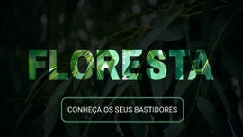 Imagem de Florestas