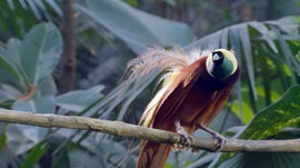 Imagem de As Leis do Movimento