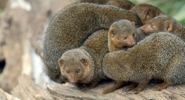 Imagem de Trabalho de Equipa