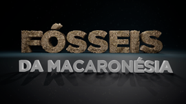 Imagem de Fosseis da Macaronésia