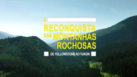 Imagem do Programa / Episiódio - À Reconquista das Montanhas Rochosas: De Yellowstone ao Yukon