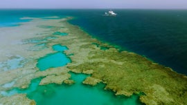 Imagem de Profundezas do Oceano: Mundos Misteriosos do Mar Vermelho