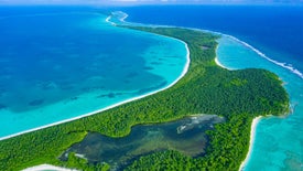 Imagem do Programa / Episiódio - As Ilhas Chagos - A Esperança dos Recifes de Coral?