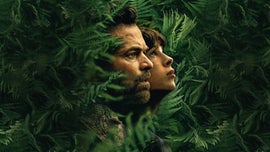 Imagem de Reino Animal