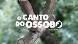 Imagem de O Canto do Ossob�
