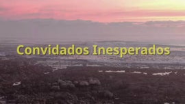 Imagem de Cabo da Boa Esperan�a (III) - Convidados Inesperados