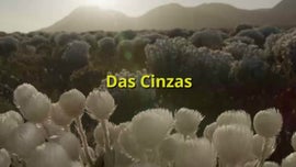 Imagem de Cabo da Boa Esperan�a (V) - Das Cinzas