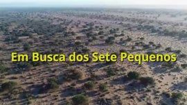 Imagem de O Deserto do Namibe (II) - Em Busca dos Sete Pequenos