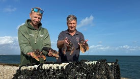 Imagem do Programa / Episiódio - Sussex, a Joia de Inglaterra