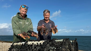 Imagem de Sussex, a Joia de Inglaterra