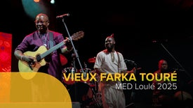 Imagem de Vieux Farka Touré