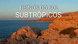 Imagem do Programa / Episiódio - Reinos do Sol: Subtrópicos