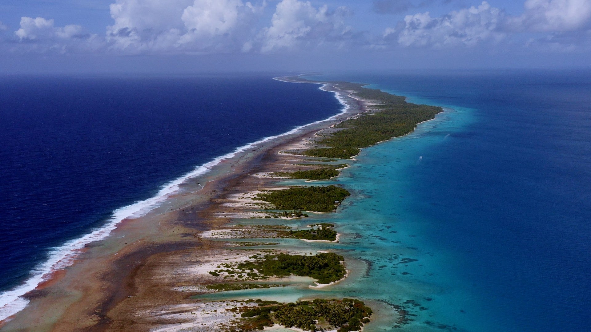 Imagem de O Oásis de Coral das Ilhas Tuamotu