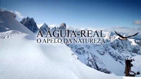 Imagem do Programa / Episiódio - A Águia-Real - O Apelo da Natureza
