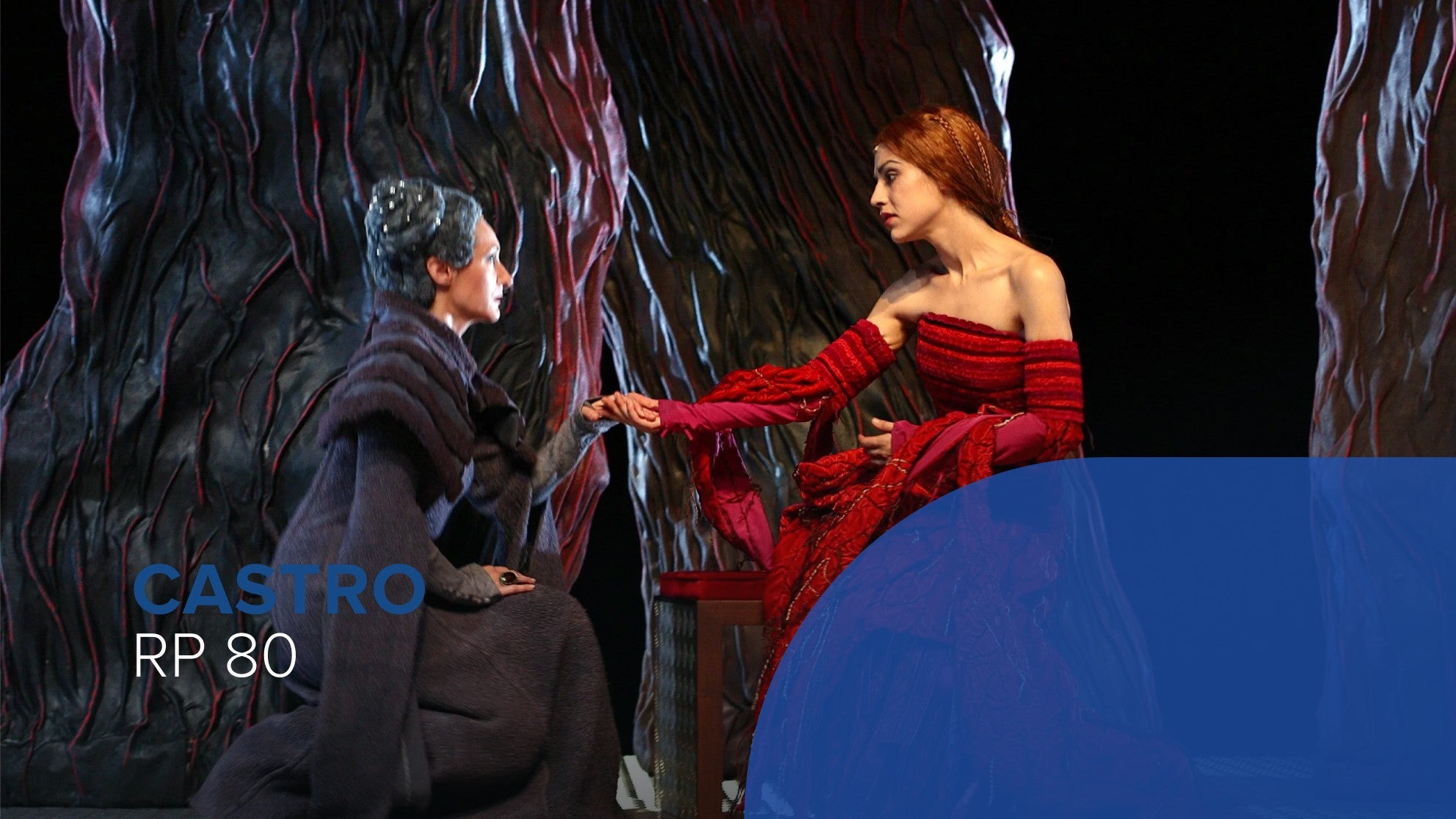 Imagem de Castro - Ciclo Ricardo Pais - 80 anos