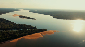 Imagem do Programa / Episiódio - No Topo da Amazónia, Em Busca de Novas Espécies