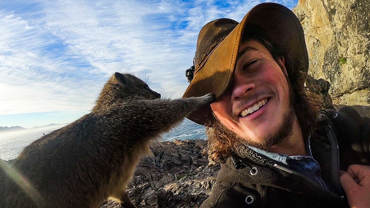 Imagem do Programa / Episiódio - Seres da Cidade