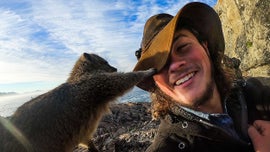 Imagem de Seres da Cidade