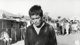 Imagem do Programa / Episiódio - Accattone