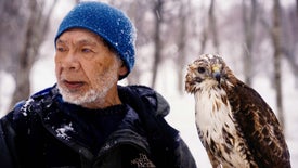 Imagem do Programa / Episiódio - O Legado do Falcoeiro
