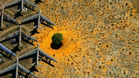 Imagem do Programa / Episiódio - Natureza: Um Apelo à Reconciliação