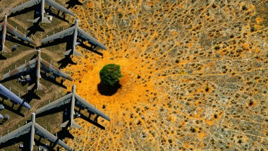 Imagem de Natureza: Um Apelo à Reconciliação