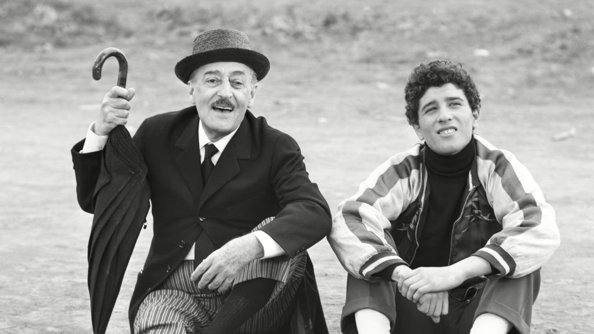 Imagem de Passarinhos e Passarões