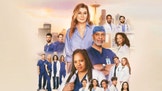 Anatomia de Grey